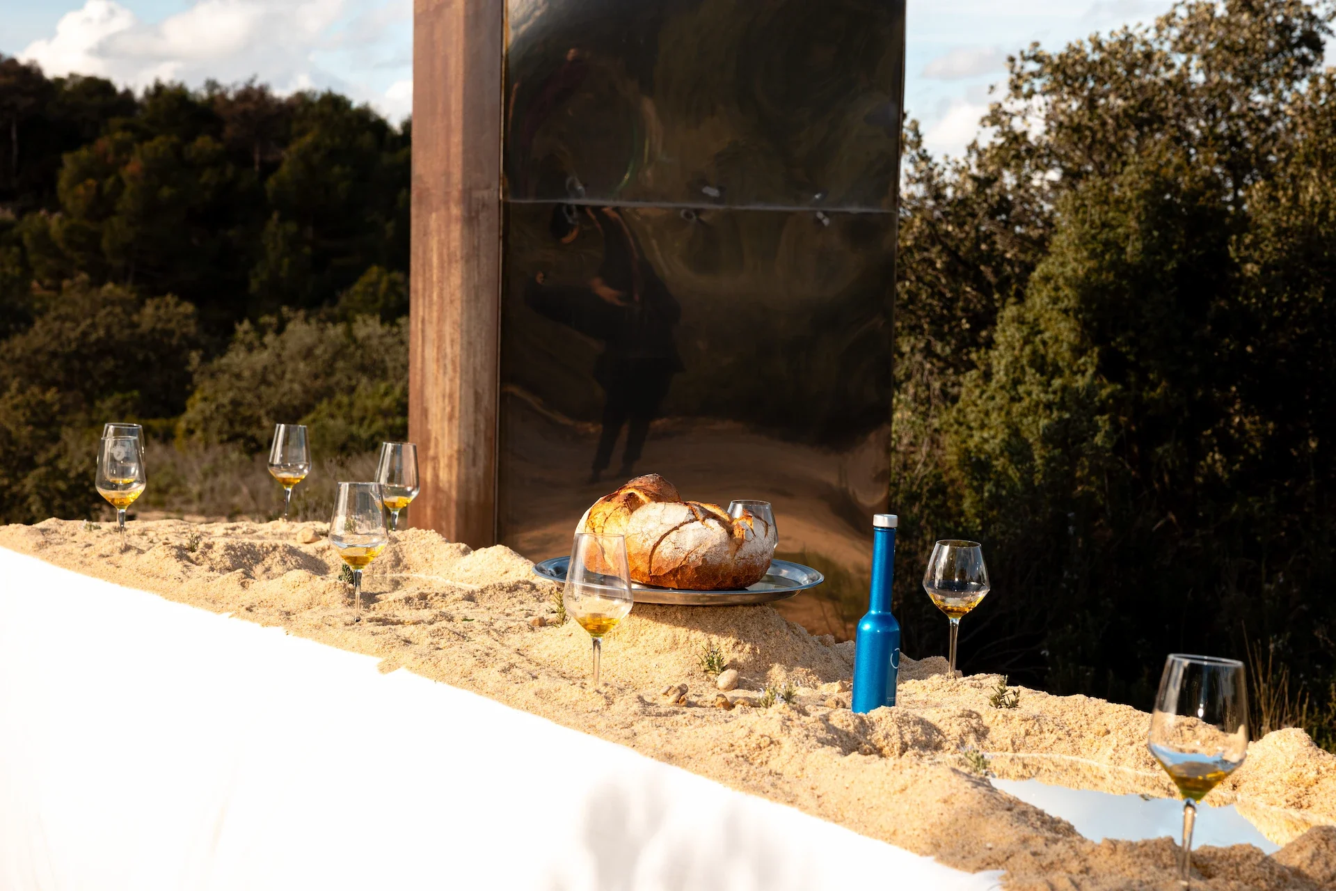 241124_115552_dm13411