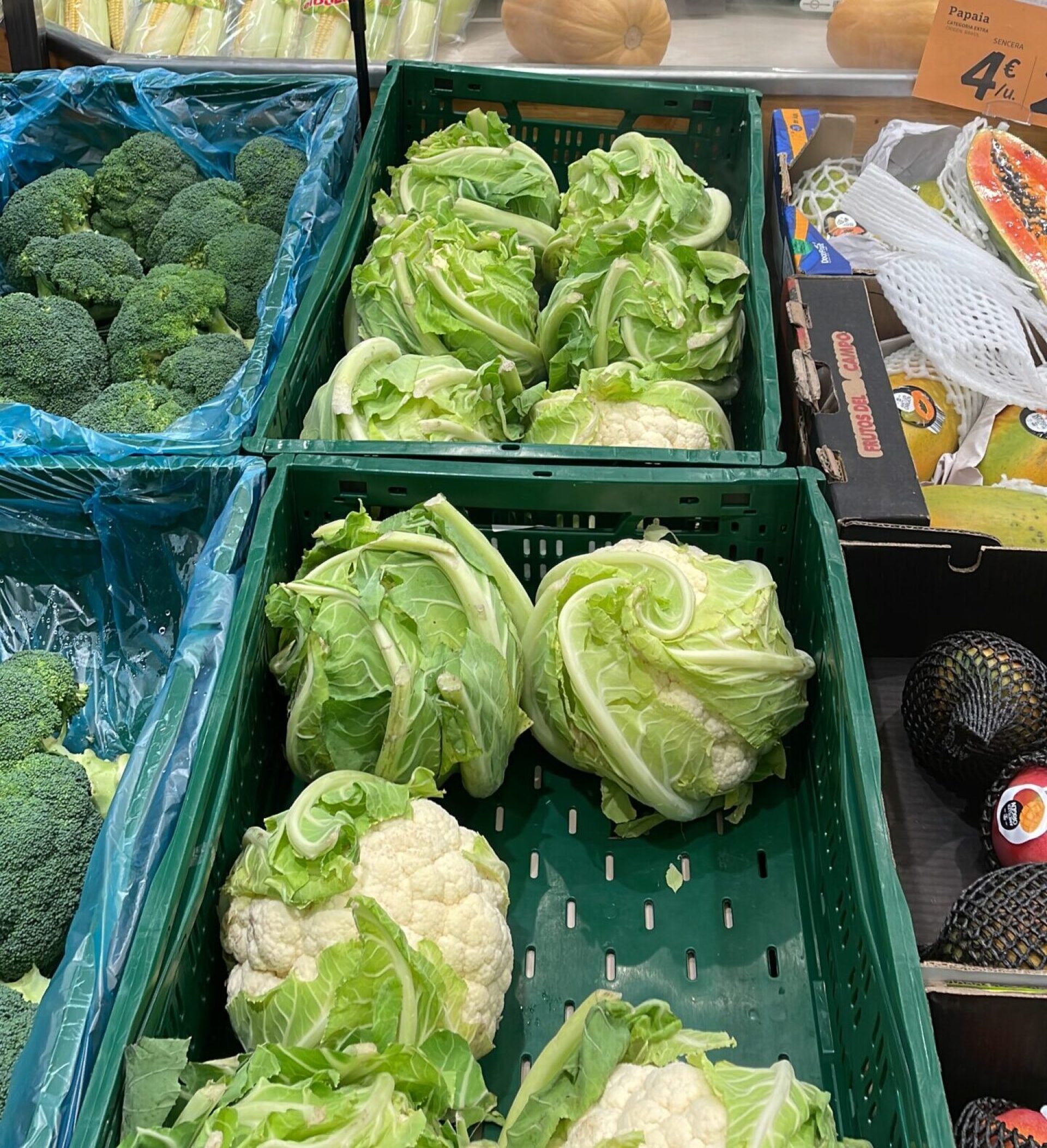 2BCEDC41-6FD3-4936-A1C7-A4A07D611BCD 2